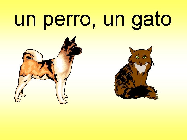 un perro, un gato 