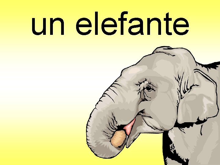 un elefante 