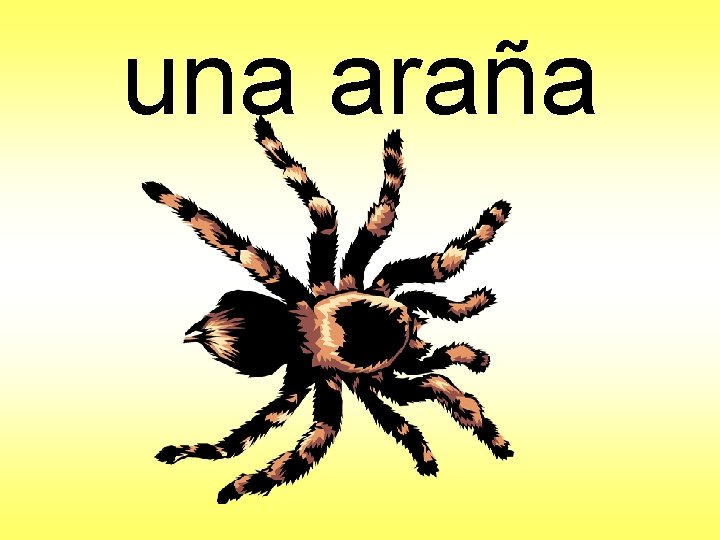 una araña 