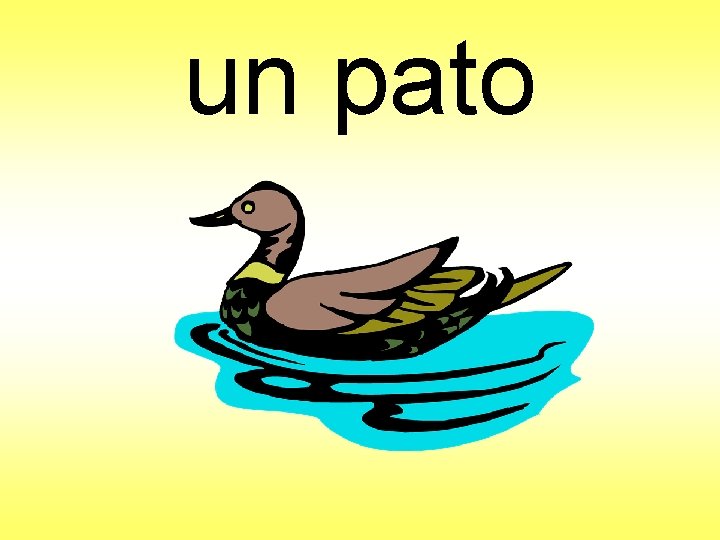 un pato 