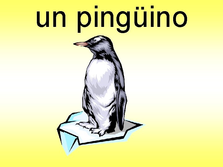 un pingüino 