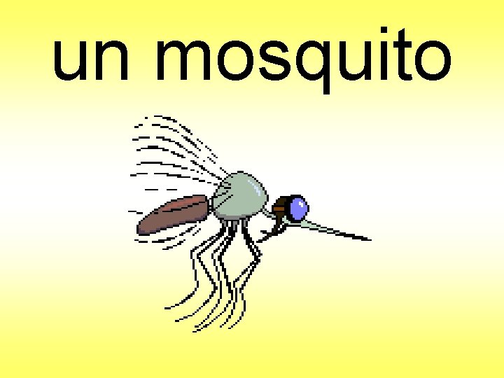 un mosquito 