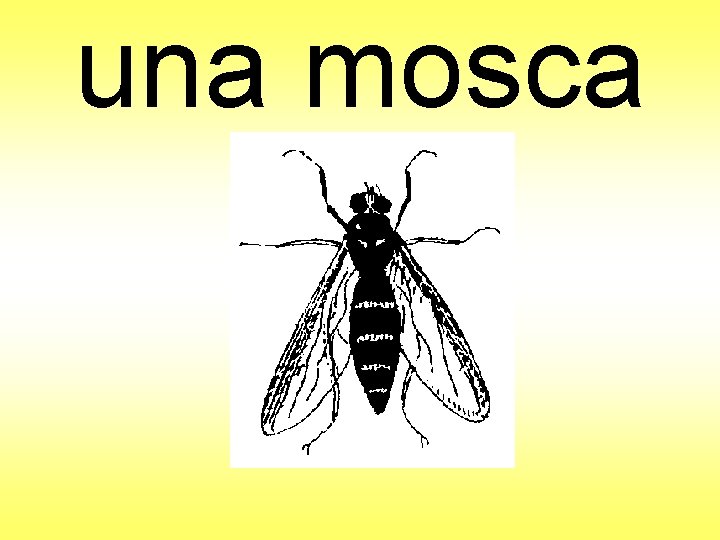 una mosca 