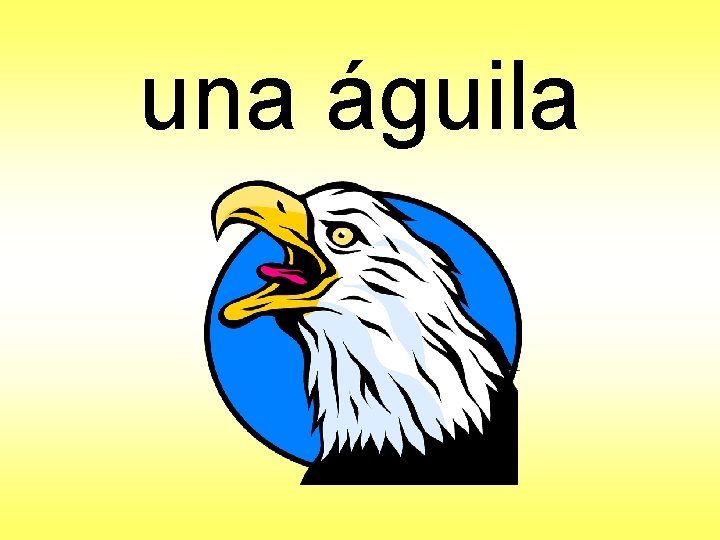 una águila 