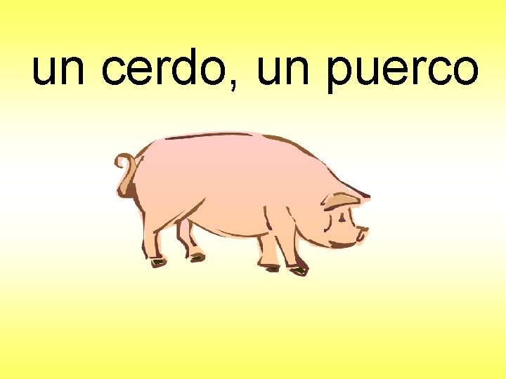 un cerdo, un puerco 