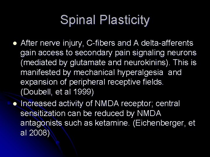 Spinal Plasticity l l After nerve injury, C-fibers and A delta-afferents gain access to