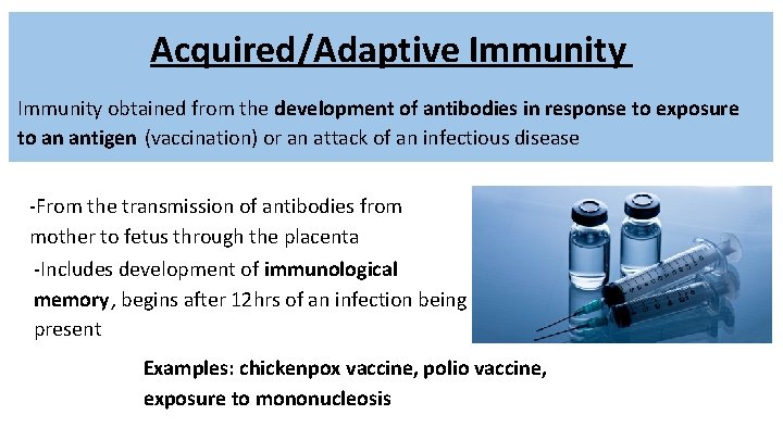 Acquired/Adaptive Immunity obtained from the development of antibodies in response to exposure to an Acquired/Adaptive Immunity obtained from the development of antibodies in response to exposure to an