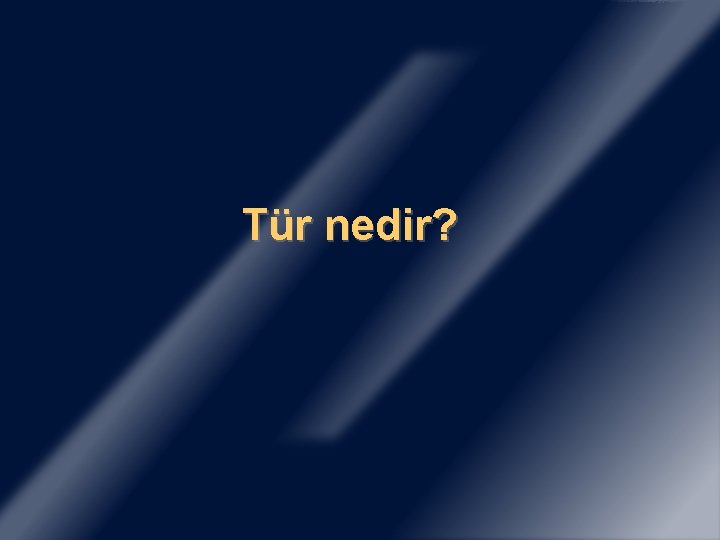 Tür nedir? 