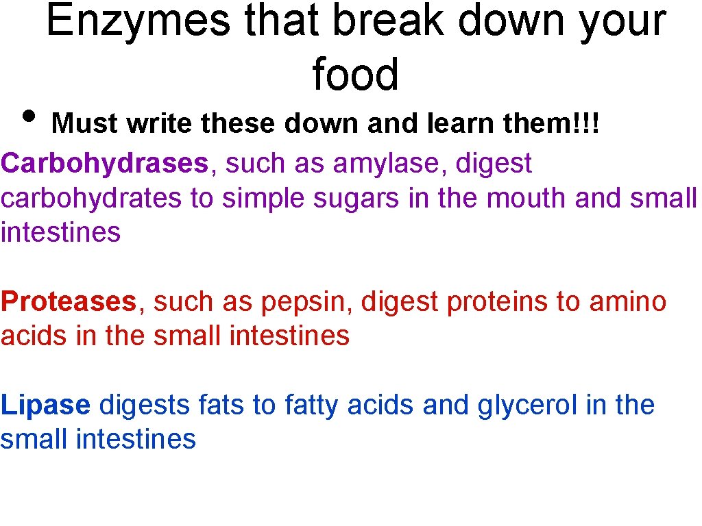 Enzymes that break down your food • Must write these down and learn them!!!