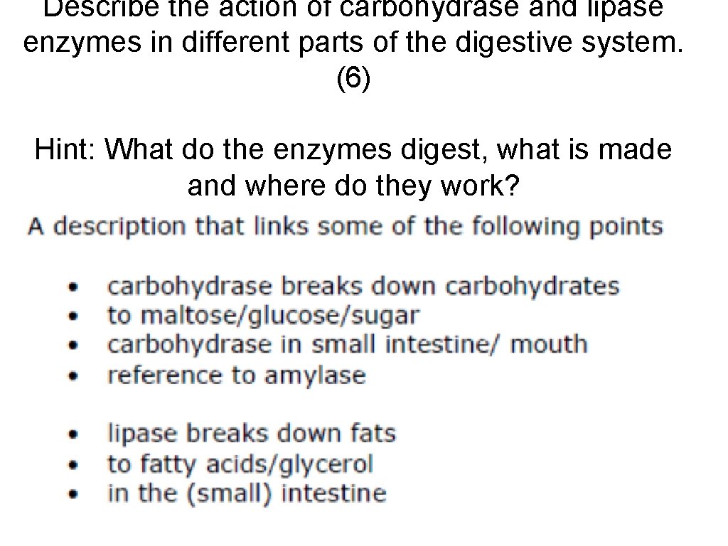 Describe the action of carbohydrase and lipase enzymes in different parts of the digestive
