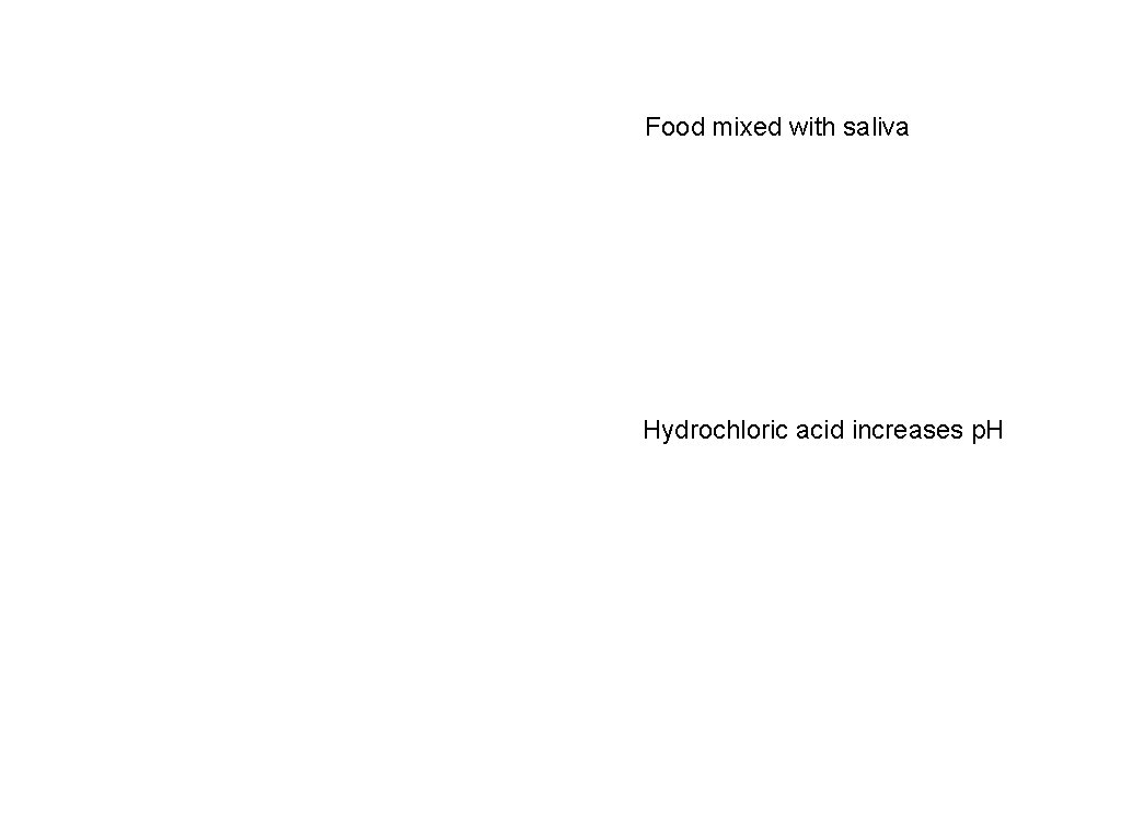 Food mixed with saliva Hydrochloric acid increases p. H 