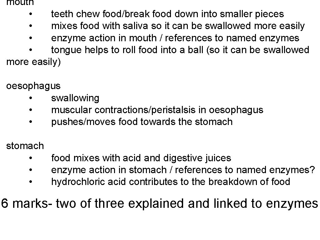 mouth • teeth chew food/break food down into smaller pieces • mixes food with