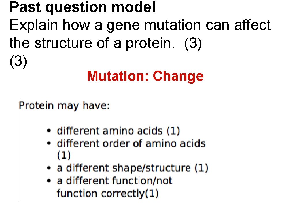 Past question model Explain how a gene mutation can affect the structure of a