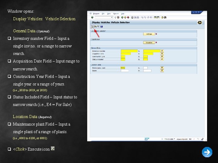 Window opens: Display Vehicles: Vehicle Selection General Data (Optional) q Inventory number Field –