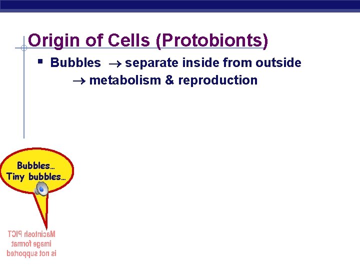 Origin of Cells (Protobionts) § Bubbles separate inside from outside metabolism & reproduction Bubbles…