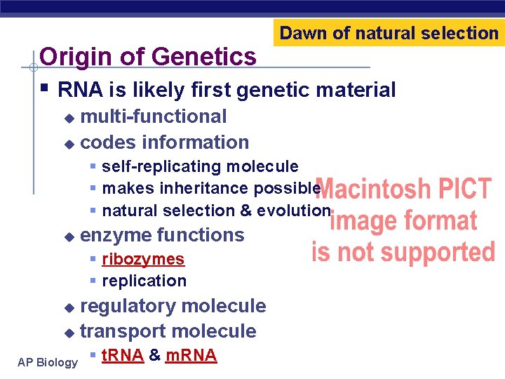 Dawn of natural selection Origin of Genetics § RNA is likely first genetic material