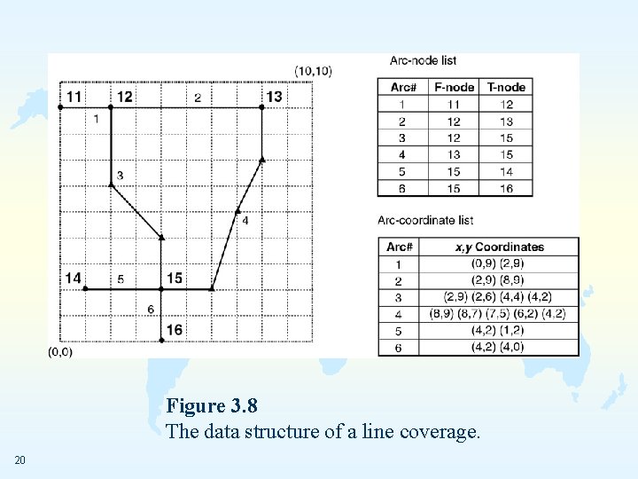 Figure 3. 8 The data structure of a line coverage. 20 
