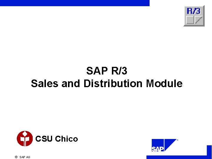SAP R/3 Sales and Distribution Module CSU Chico ã SAP AG 
