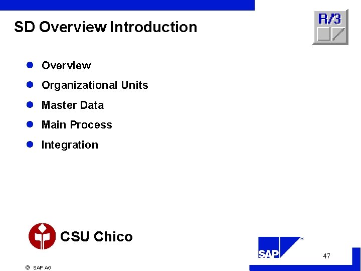 SD Overview Introduction l Overview l Organizational Units l Master Data l Main Process