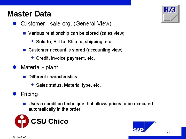 Master Data l Customer - sale org. (General View) n Various relationship can be