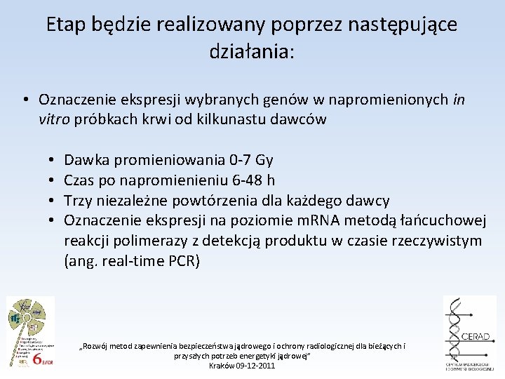 Etap będzie realizowany poprzez następujące działania: • Oznaczenie ekspresji wybranych genów w napromienionych in