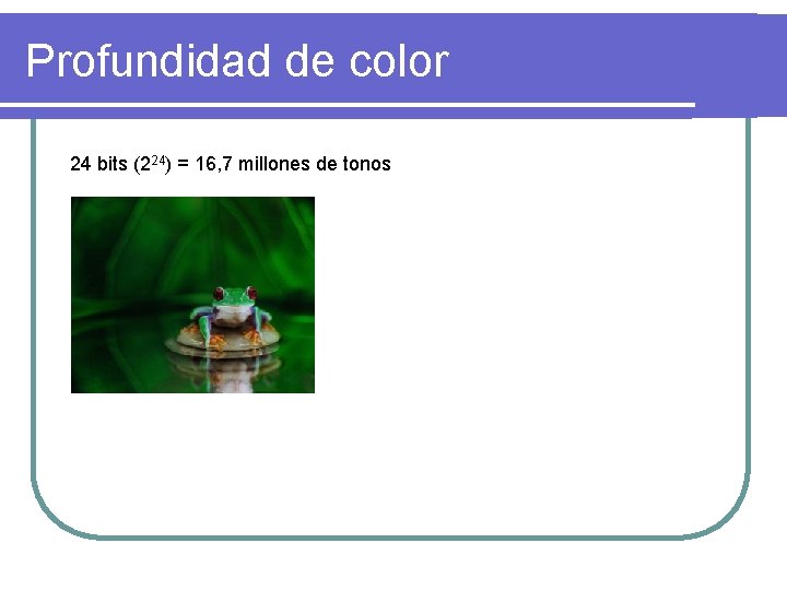 Profundidad de color 24 bits (224) = 16, 7 millones de tonos 