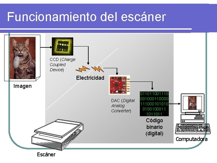 Funcionamiento del escáner CCD (Charge Coupled Device) Electricidad Imagen DAC (Digital Analog Converter) 011011001110