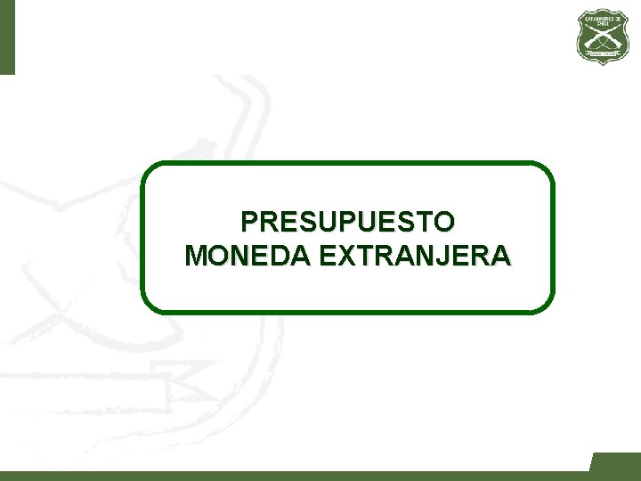 PRESUPUESTO MONEDA EXTRANJERA 