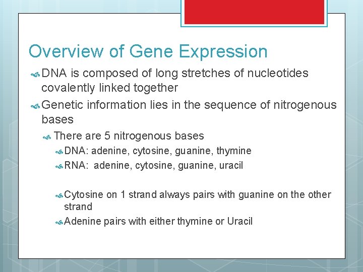 Overview of Gene Expression DNA is composed of long stretches of nucleotides covalently linked