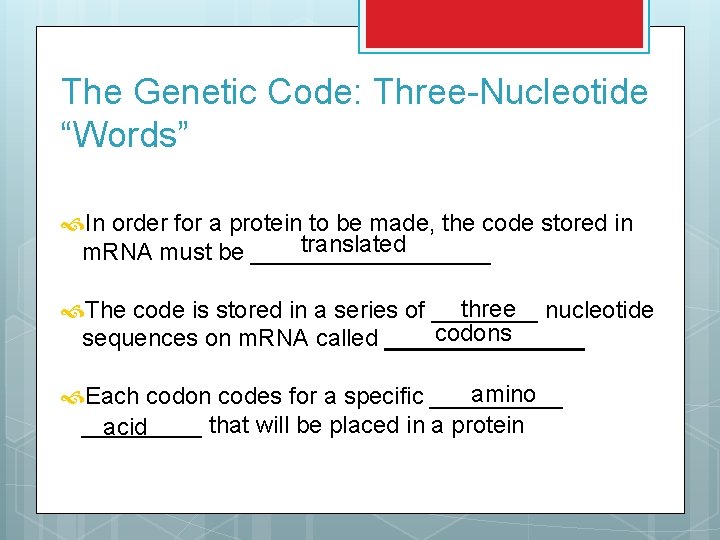 The Genetic Code: Three-Nucleotide “Words” In order for a protein to be made, the