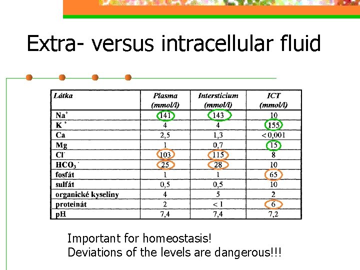 Extra- versus intracellular fluid Important for homeostasis! Deviations of the levels are dangerous!!! 