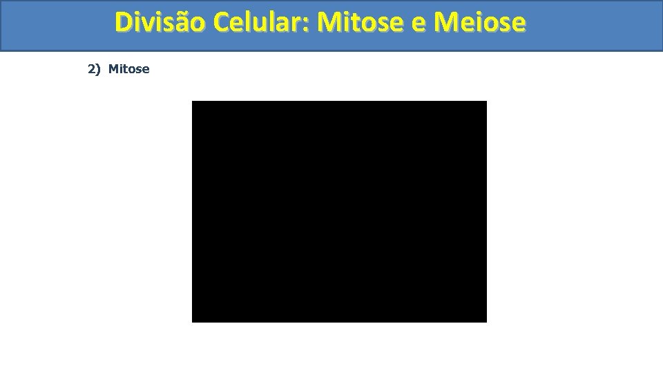 Divisão. Celular: Mitoseee. Meiose 2) Mitose 