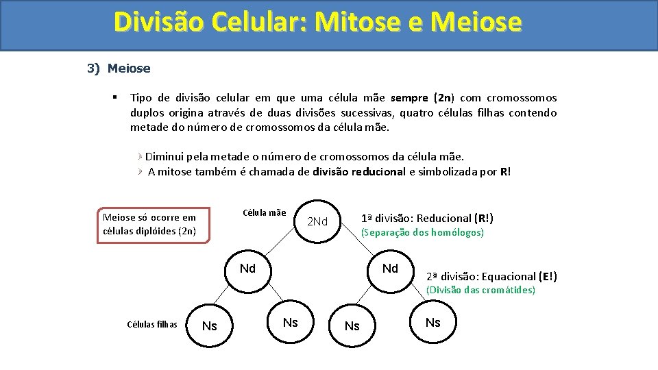 Divisão. Celular: Mitoseee. Meiose 3) Meiose § Tipo de divisão celular em que uma