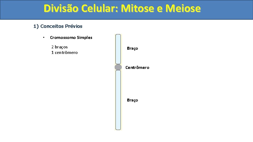 Divisão. Celular: Mitoseee. Meiose 1) Conceitos Prévios • Cromossomo Simples 2 braços 1 centrômero