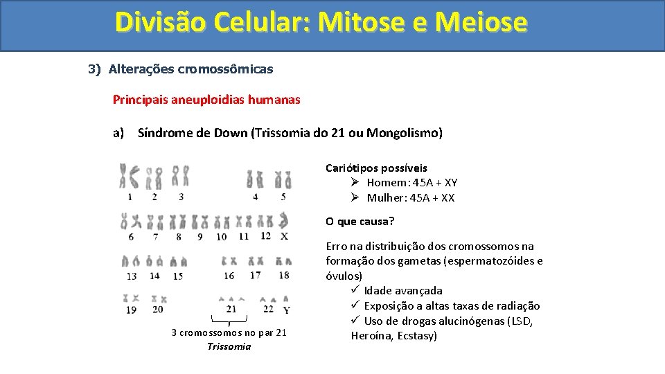 Divisão. Celular: Mitoseee. Meiose 3) Alterações cromossômicas Principais aneuploidias humanas a) Síndrome de Down