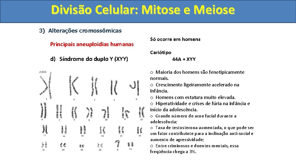 Divisão. Celular: Mitoseee. Meiose 3) Alterações cromossômicas Principais aneuploidias humanas d) Síndrome do duplo