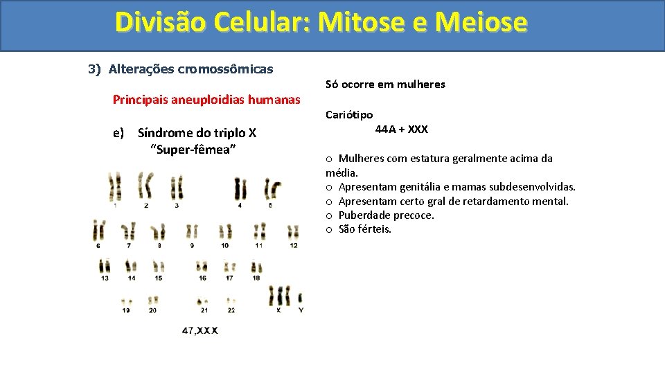 Divisão. Celular: Mitoseee. Meiose 3) Alterações cromossômicas Principais aneuploidias humanas e) Síndrome do triplo