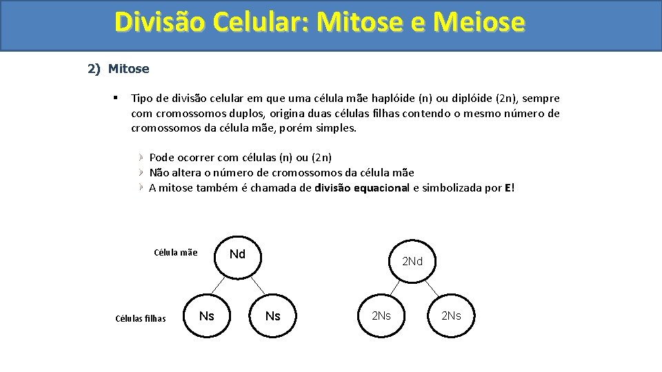 Divisão. Celular: Mitoseee. Meiose 2) Mitose § Tipo de divisão celular em que uma