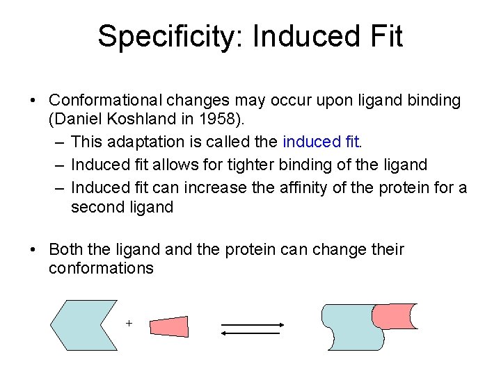 Specificity: Induced Fit • Conformational changes may occur upon ligand binding (Daniel Koshland in