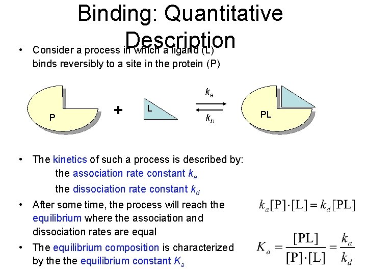  • Binding: Quantitative Description Consider a process in which a ligand (L) binds