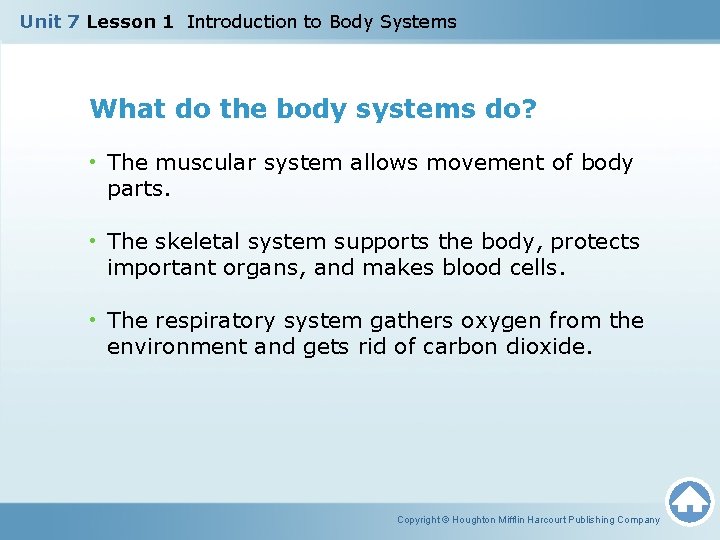 Unit 7 Lesson 1 Introduction to Body Systems What do the body systems do? Unit 7 Lesson 1 Introduction to Body Systems What do the body systems do?