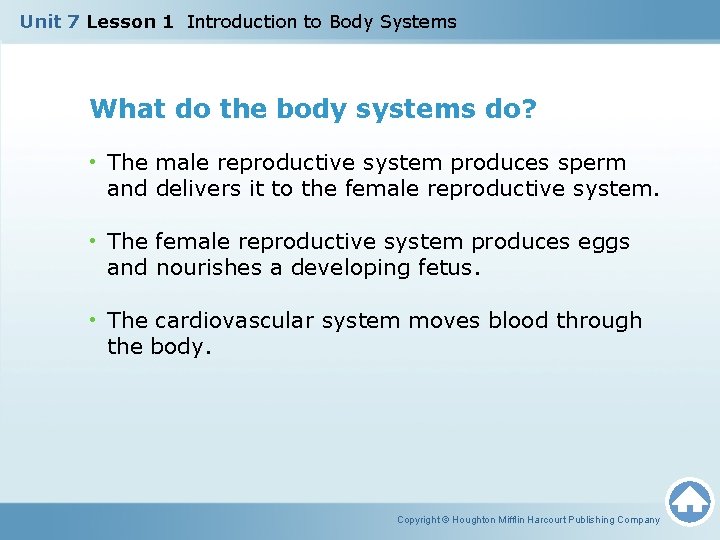 Unit 7 Lesson 1 Introduction to Body Systems What do the body systems do? Unit 7 Lesson 1 Introduction to Body Systems What do the body systems do?