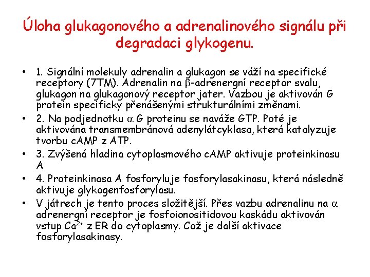 Úloha glukagonového a adrenalinového signálu při degradaci glykogenu. • 1. Signální molekuly adrenalin a