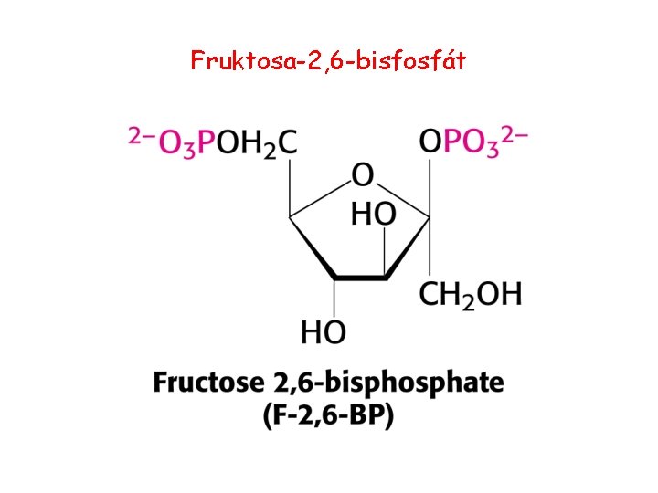 Fruktosa-2, 6 -bisfosfát 