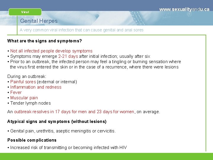 Viral www. sexualityandu. ca Genital Herpes A very common viral infection that can cause