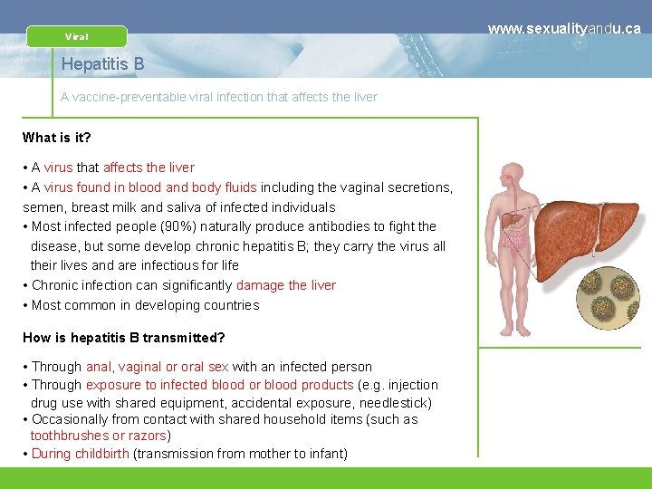 Viral Hepatitis B A vaccine-preventable viral infection that affects the liver What is it?