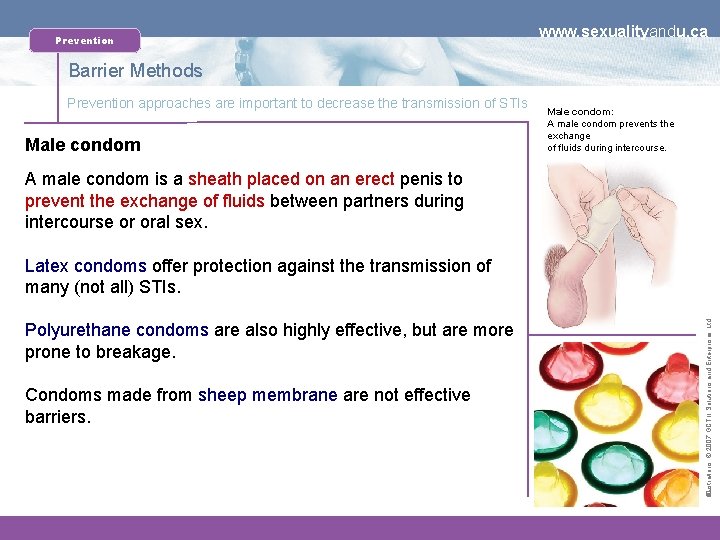 Prevention www. sexualityandu. ca Barrier Methods Prevention approaches are important to decrease the transmission
