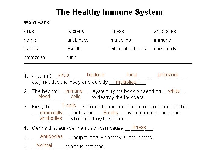 The Healthy Immune System Word Bank virus bacteria illness antibodies normal antibiotics multiplies immune