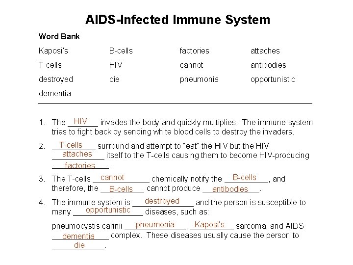 AIDS-Infected Immune System Word Bank Kaposi’s B-cells factories attaches T-cells HIV cannot antibodies destroyed