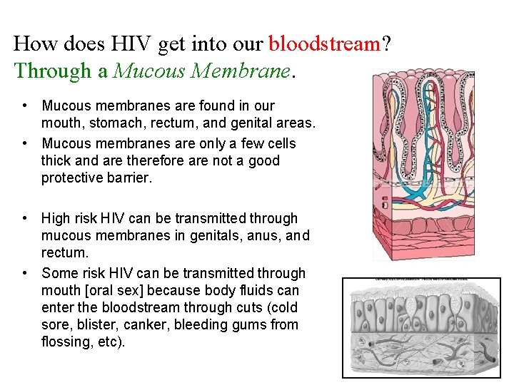 How does HIV get into our bloodstream? Through a Mucous Membrane. • Mucous membranes